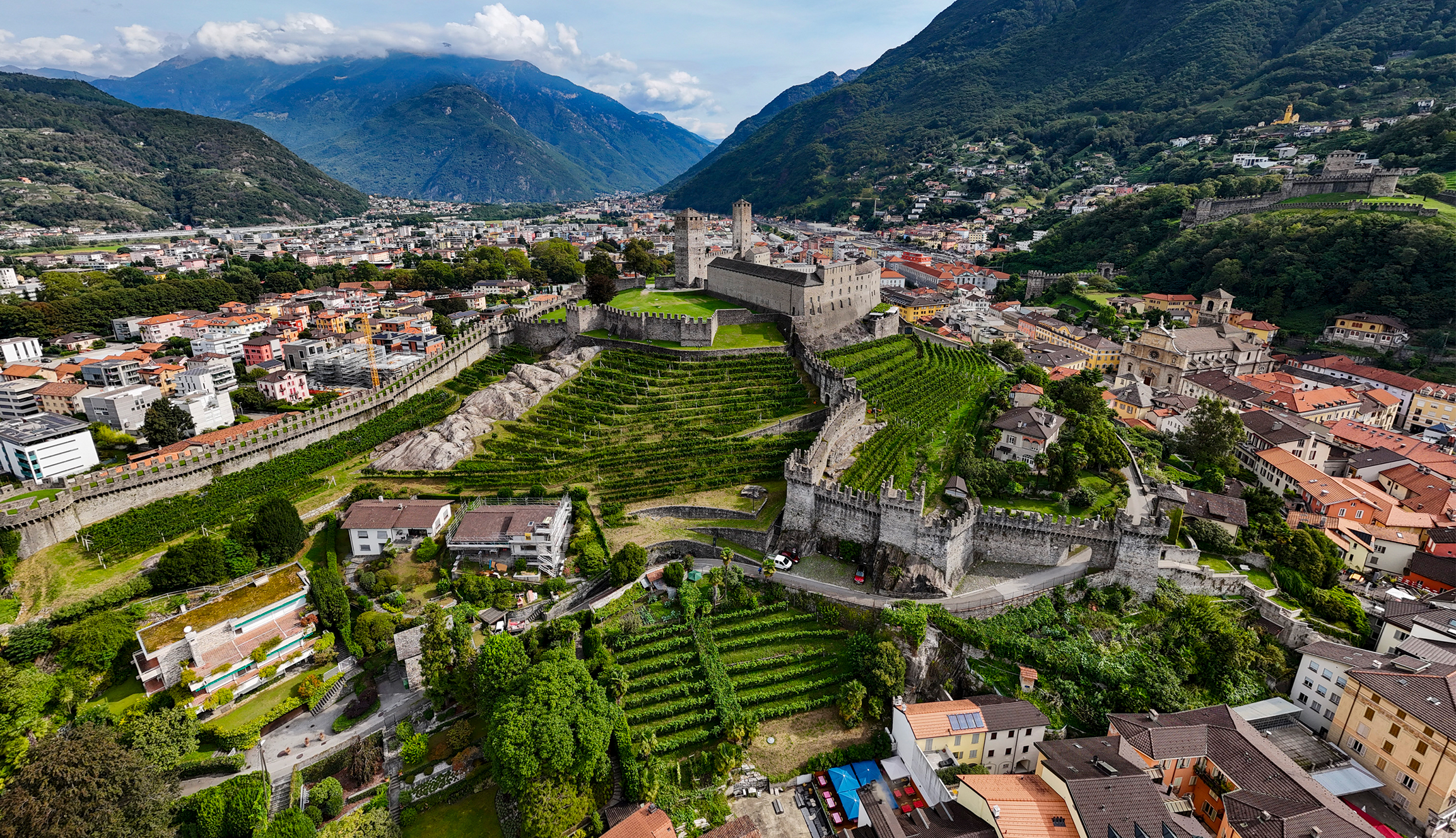 Bellinzona-vitigni-castello