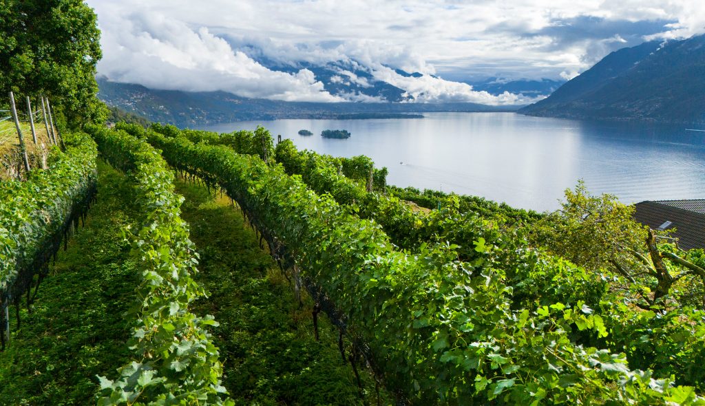 Sopraceneri, Lago Maggiore Brissago