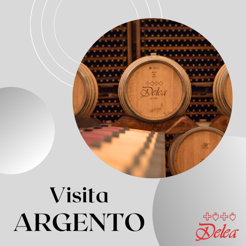 1.VISITA-ARGENTO-1