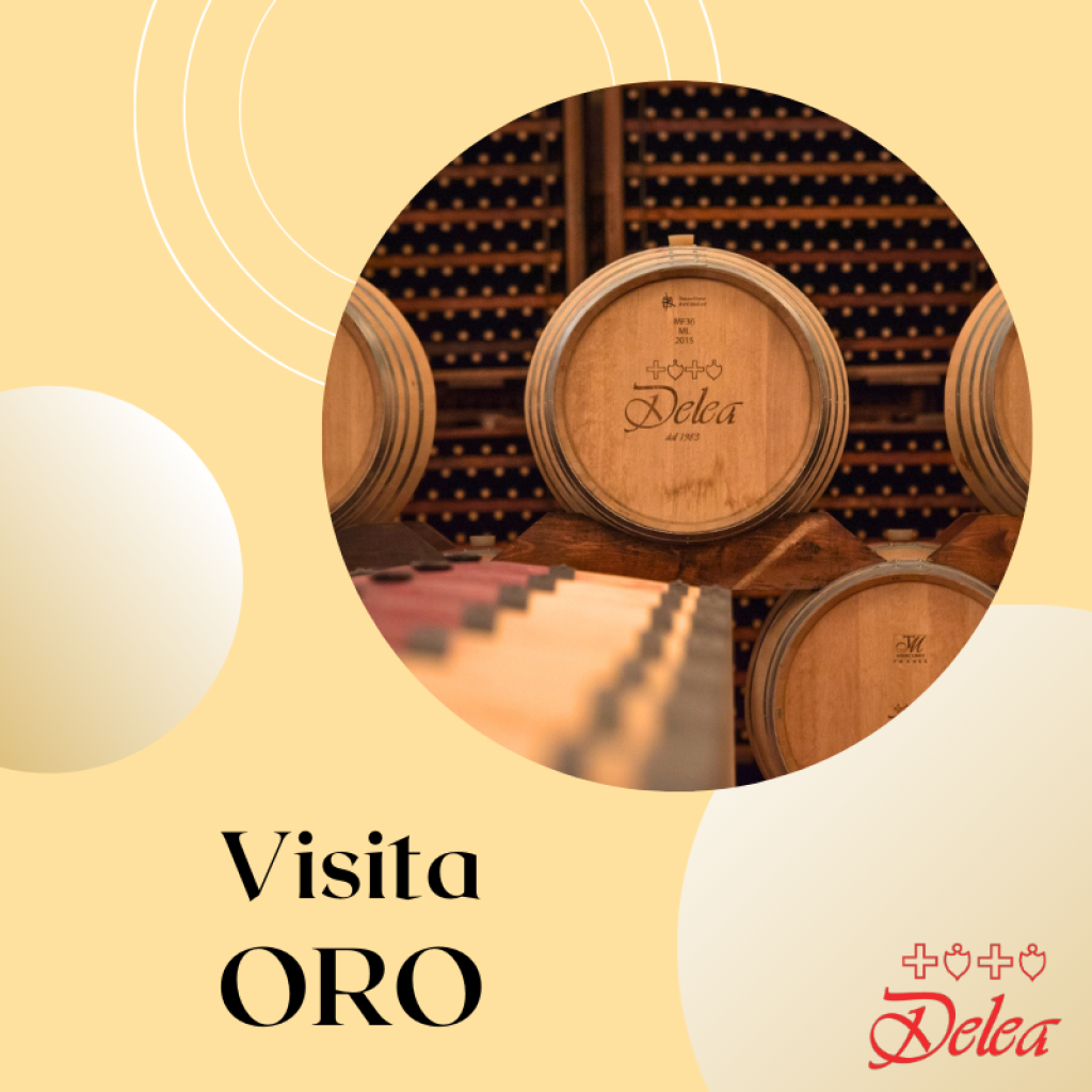 2.VISITA-ORO