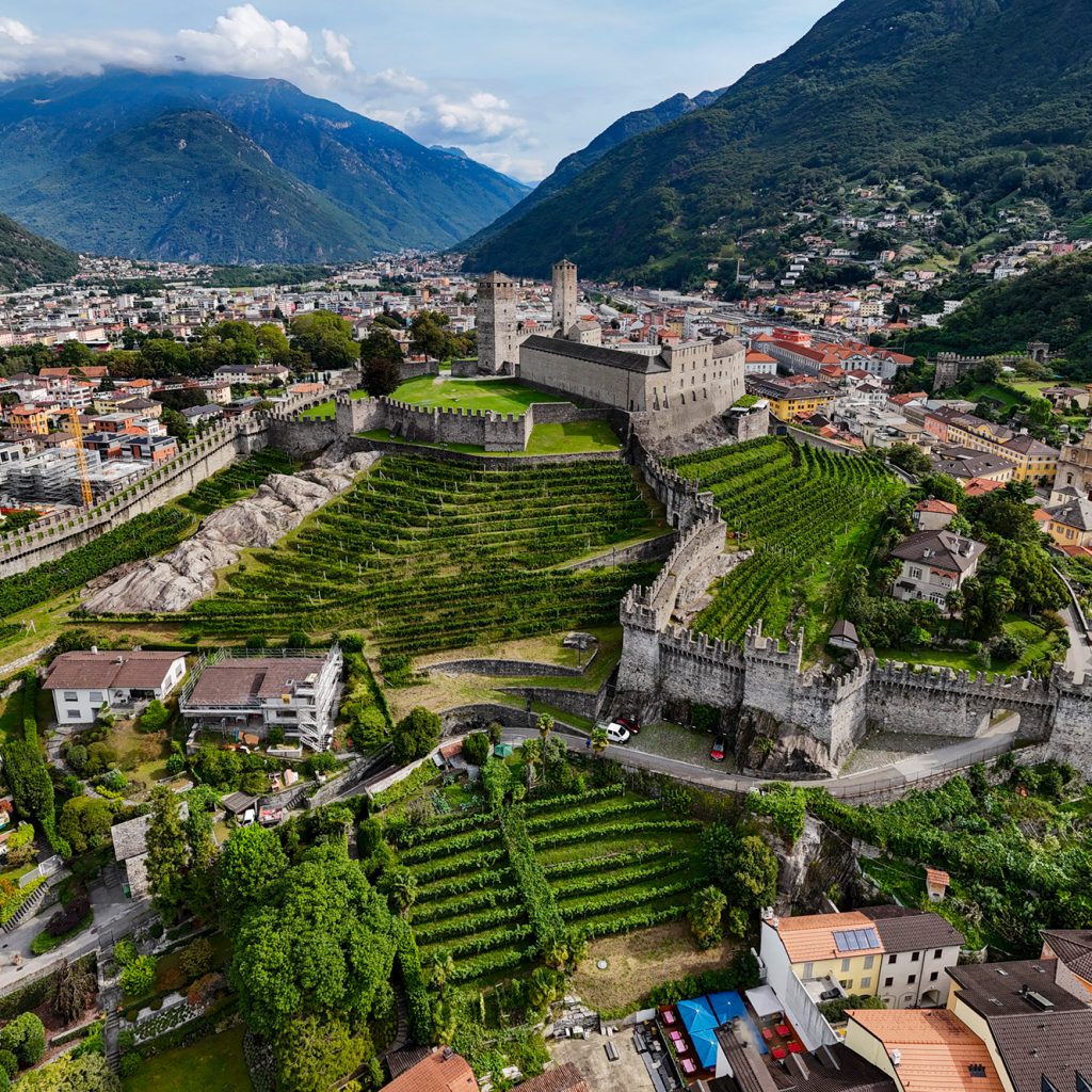 Bellinzona-vitigni-castello