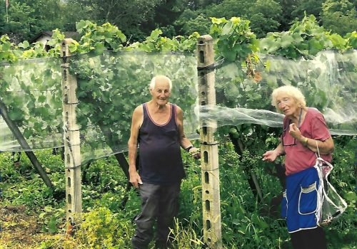 photo_2026-01-18_11-35-12