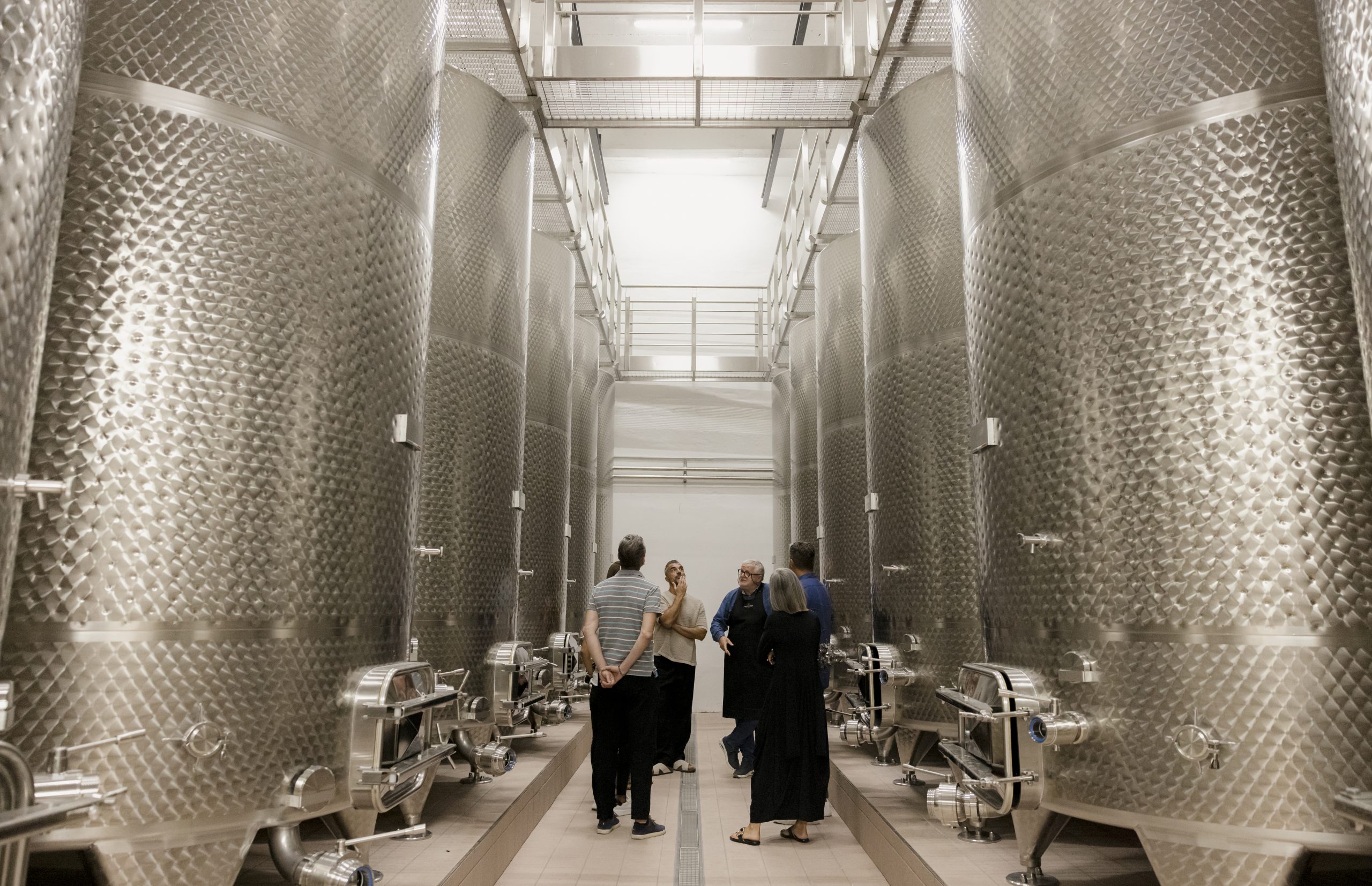 Matasc_Vini_Degustazione_Medium