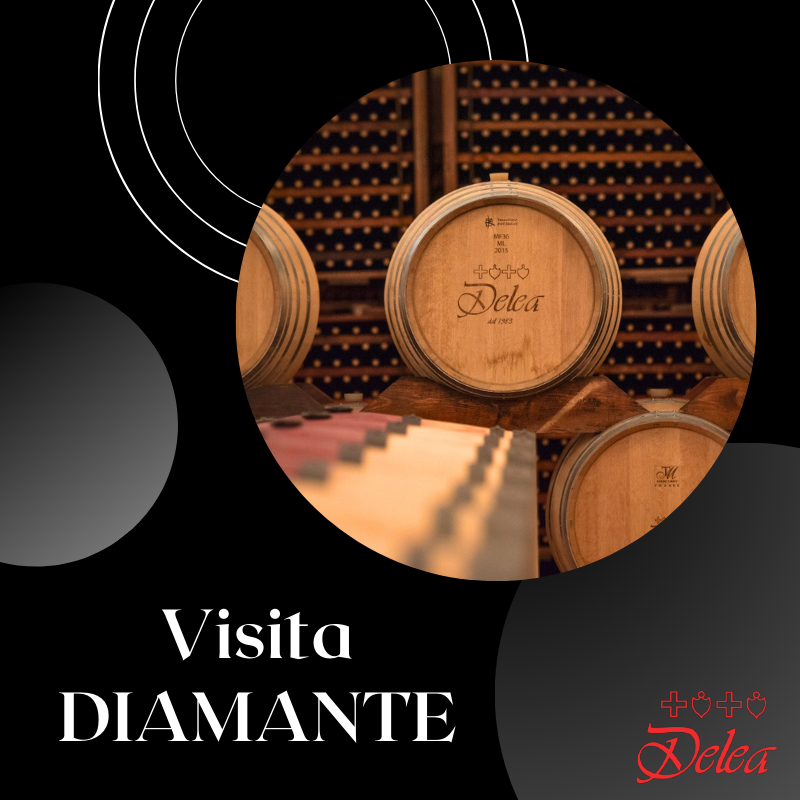 3.VISITA-DIAMANTE